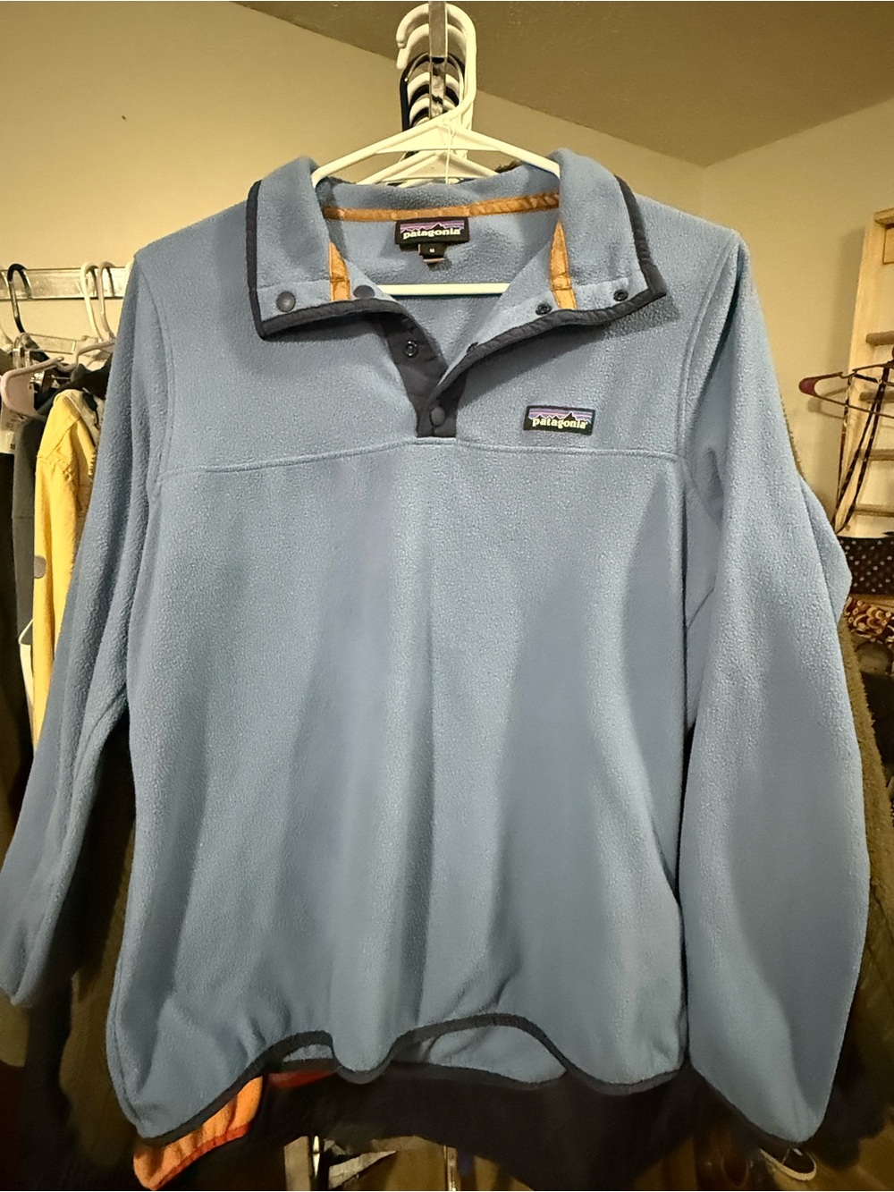 Patagonia Light Blue Fleece Snap-Front Pullover